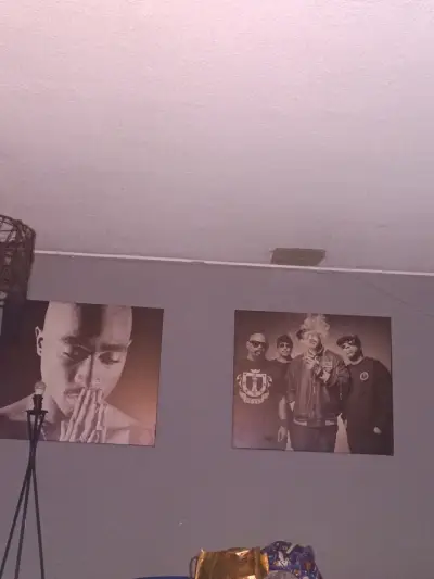 Cuadros decorativos de pared - miniatura 1