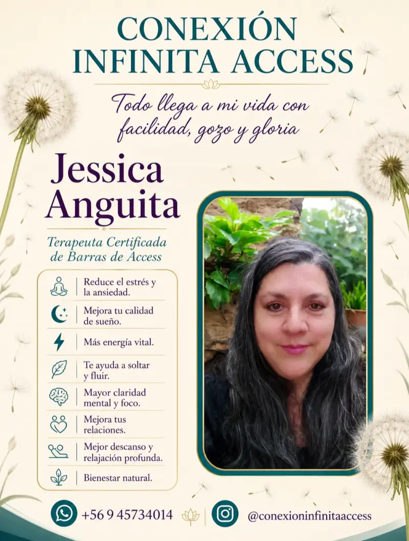 Pack 4 Sesiones Barras de Access Presencial - 1