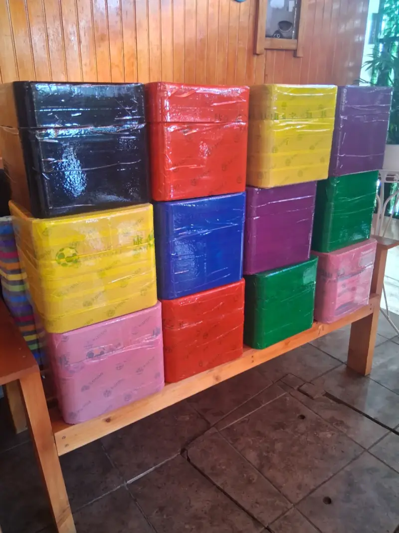 Cajas cartón duro color - 2