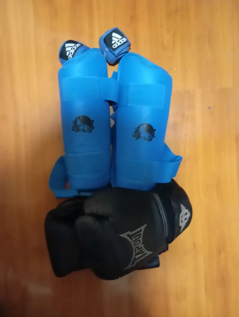 Set de protecciones y guantes artes marciales