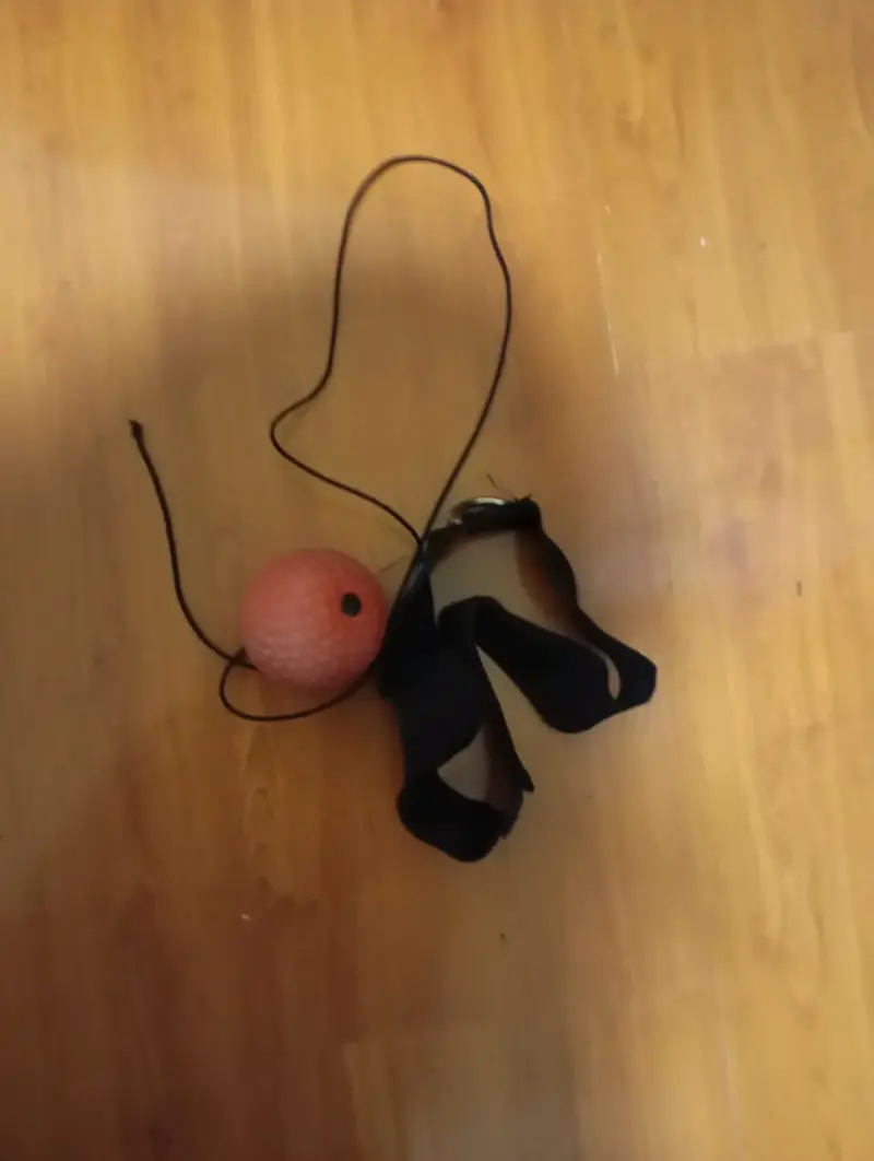 Pelota de entrenamiento con cuerda