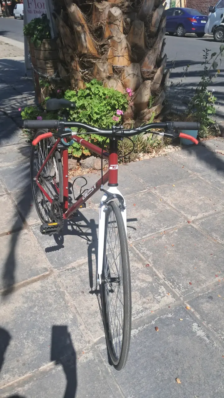 BICICLETA RUTA BEST TESIA 700 Unisex - 2