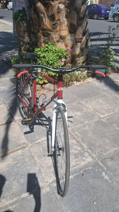 BICICLETA RUTA BEST TESIA 700 Unisex - miniatura 2
