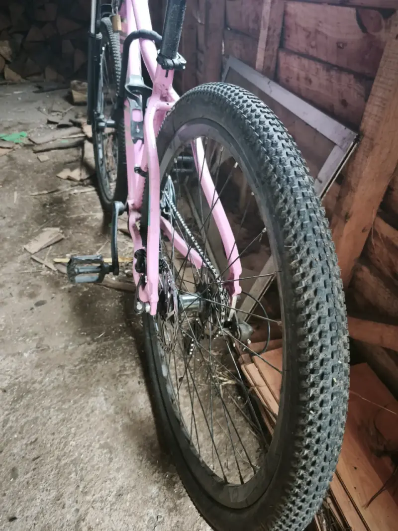 Bicicleta montaña rosa - 1
