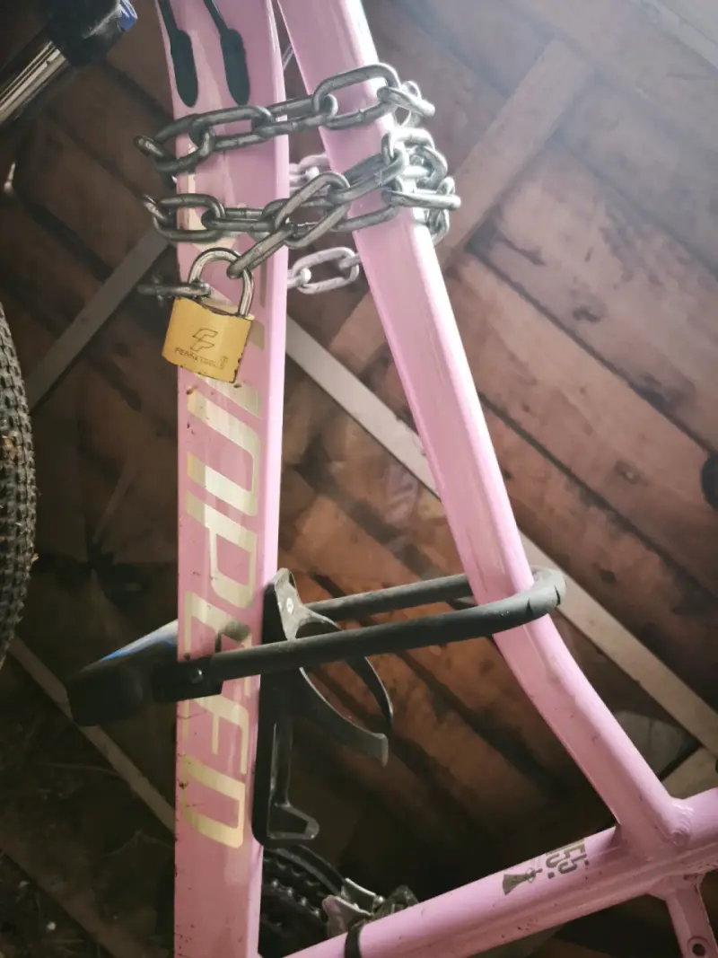 Bicicleta montaña rosa - 4