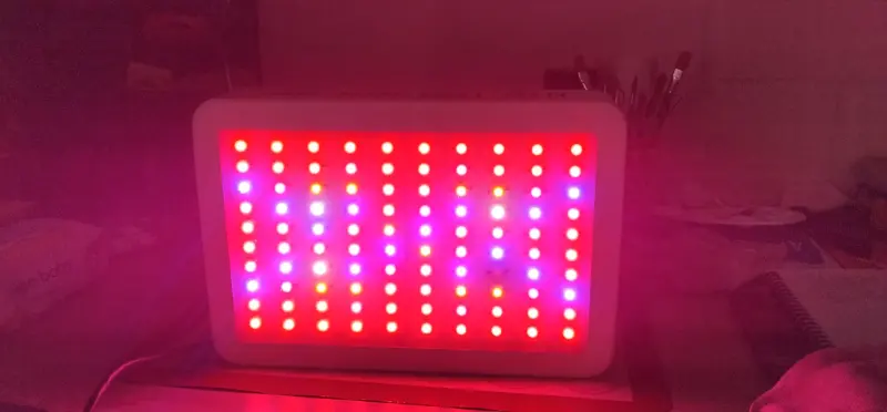 Luz LED de cultivo - 2