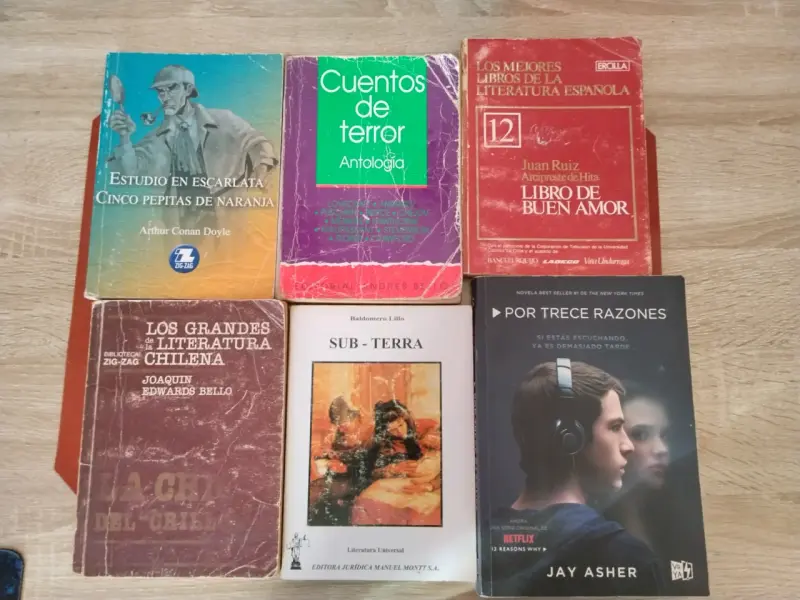 Lote de libros variados