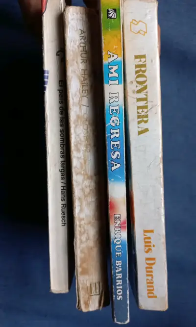 Lote de 4 libros variados - miniatura 3