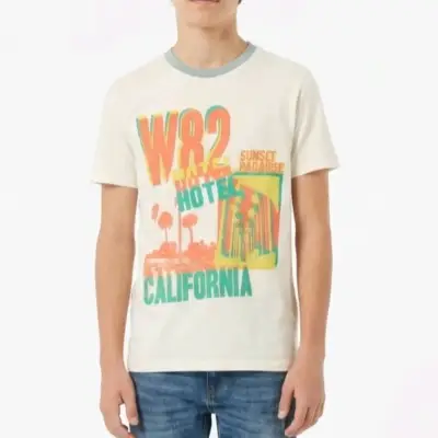 Polera estampada Hotel California - miniatura 1