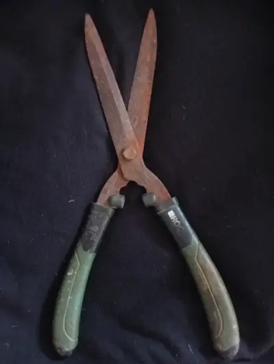Tijera de podar oxidada - miniatura 3