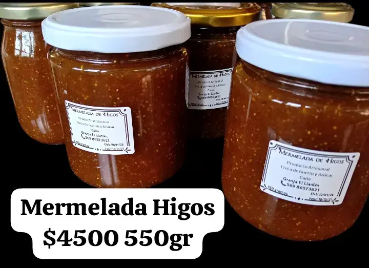 Mermelada de higos artesanal