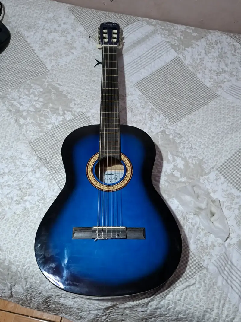 Guitarra acústica azul Pecaya - 1