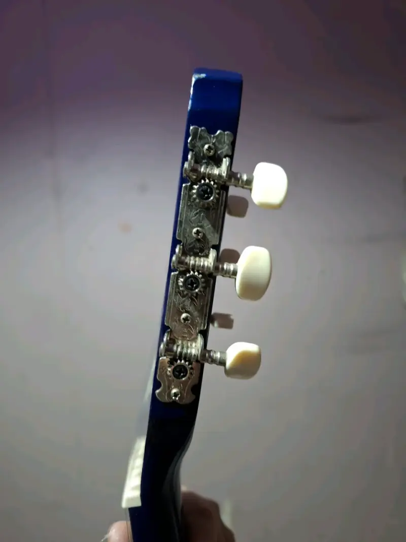Guitarra acústica azul Pecaya - 6