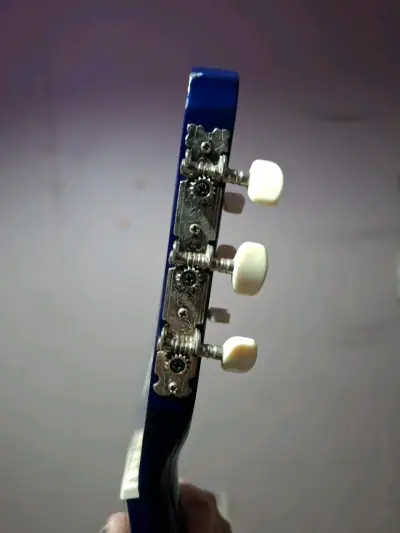 Guitarra acústica azul Pecaya - miniatura 6
