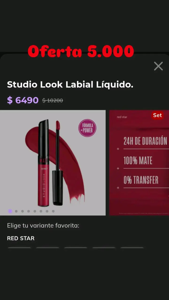 Labial Líquido Studio Look Mate