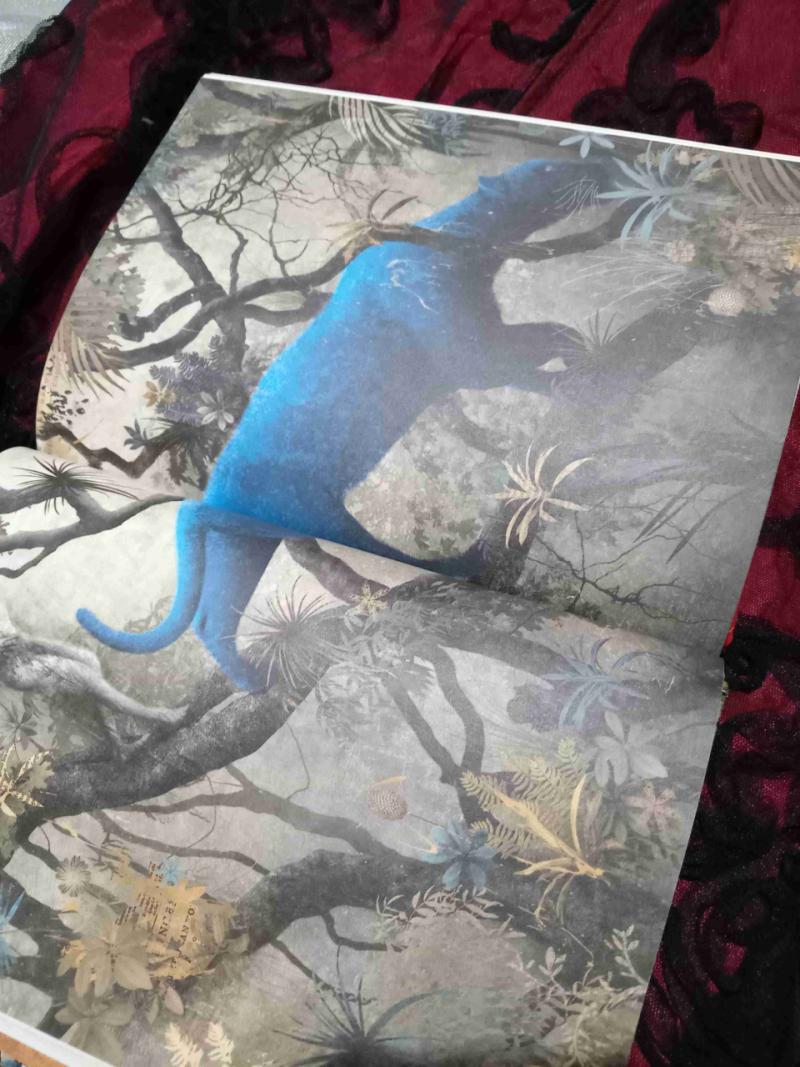 Libro 'El libro de la selva' ilustrado - 2