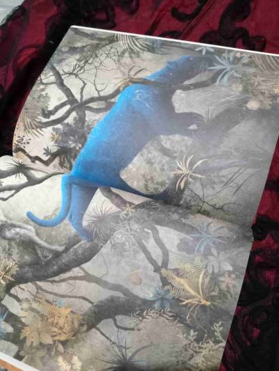 Libro 'El libro de la selva' ilustrado - miniatura 2