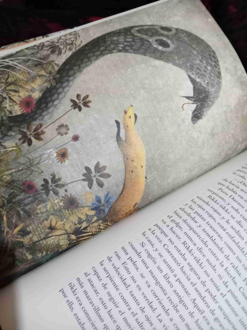 Libro 'El libro de la selva' ilustrado - 3