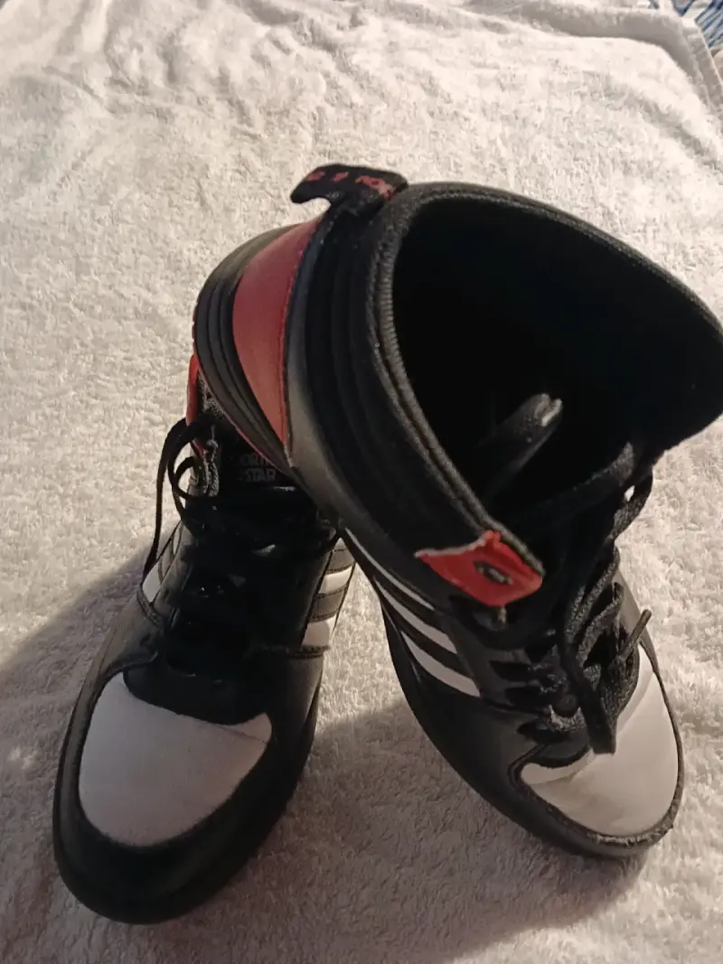 Zapatillas altas North Star - 2