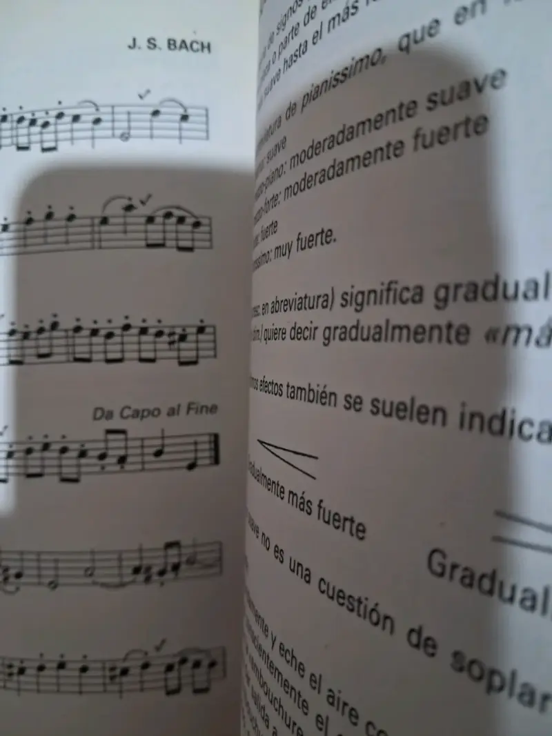 Libro 'Cómo tocar la flauta' - 2