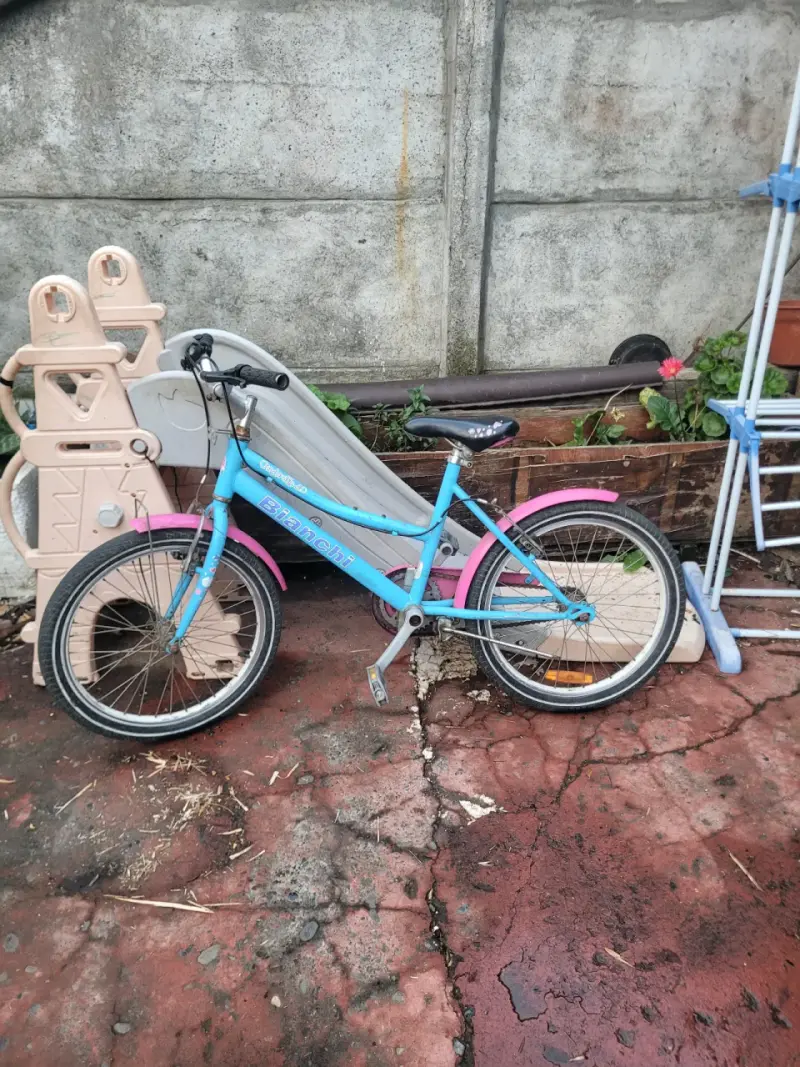 Bicicleta infantil rosada y celeste