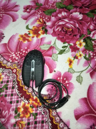 Mouse óptico con cable USB - miniatura 1