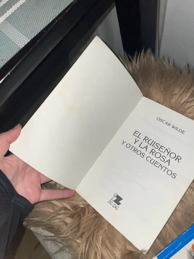 El Ruiseñor y la Rosa + El País de las Ausencias - 4