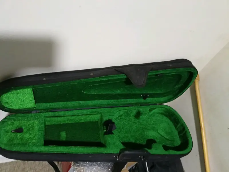 Estuche para instrumento musical - 2