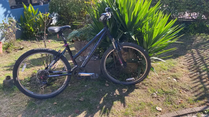 Bicicleta de Treck negra - 1