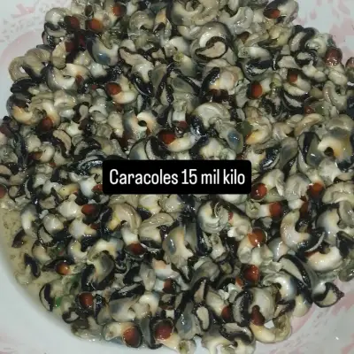 Caracoles frescos al kilo locos frescos - miniatura 1