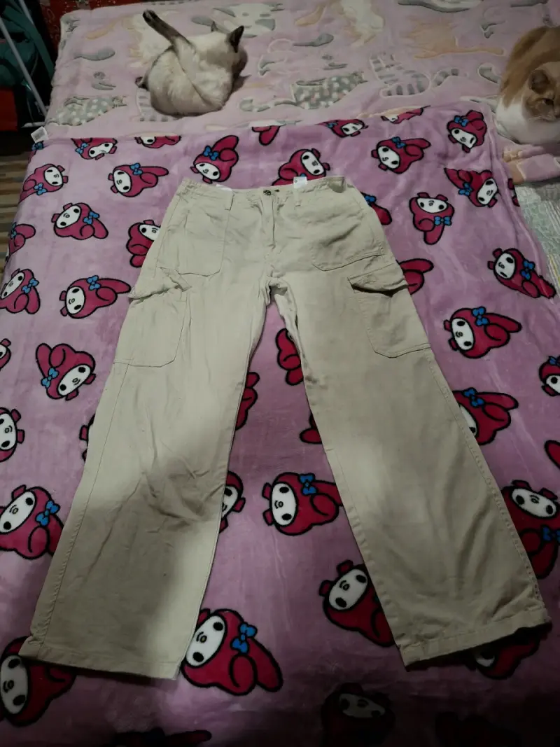 Pantalones INDEX cargo beige - 1
