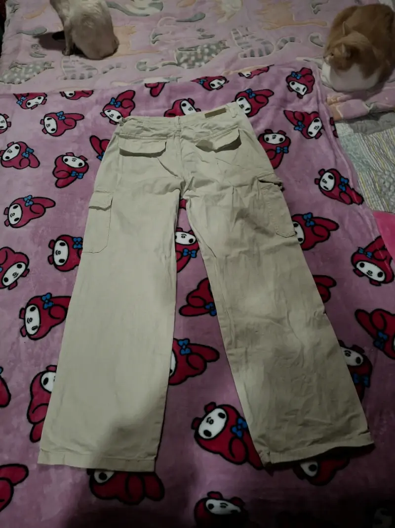 Pantalones INDEX cargo beige - 2