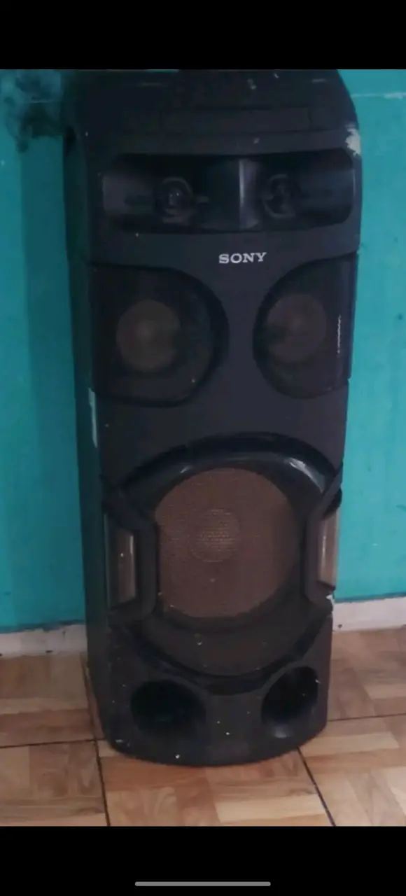 Parlante Sony de pie
