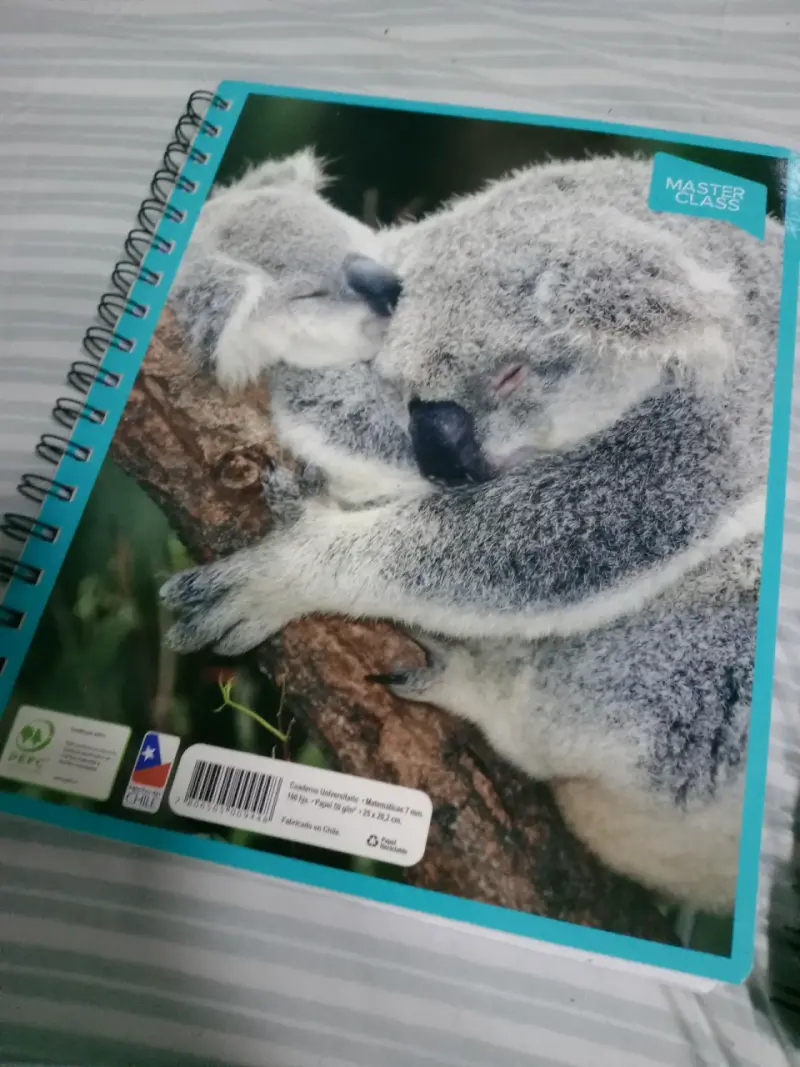 Cuaderno universitario Master Class - 1