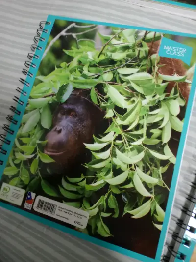 Cuaderno universitario Master Class - miniatura 3