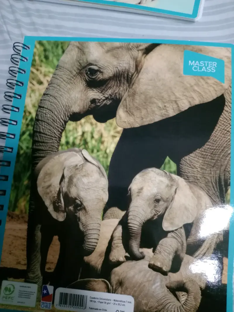 Cuaderno universitario Master Class - 4