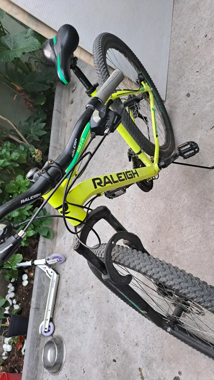 Bicicleta Raleigh Agile MTB - 3