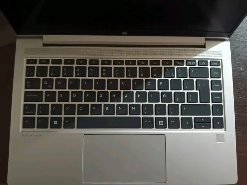 Notebook Hp probóok 445 - 3