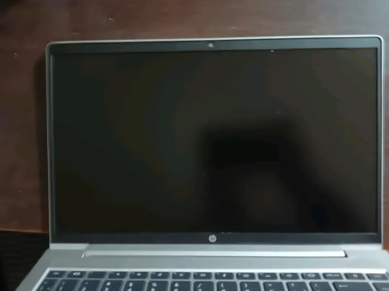 Notebook Hp probóok 445 - 4