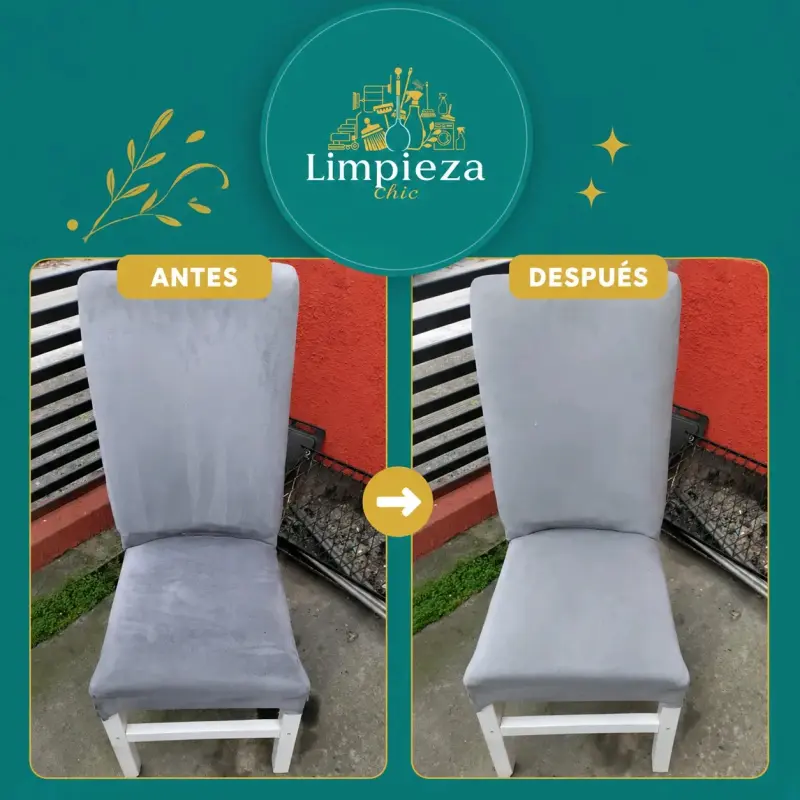 Servicios de Limpieza en Coronel y alrededores - 3