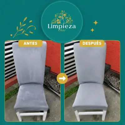 Servicios de Limpieza en Coronel y alrededores - miniatura 3