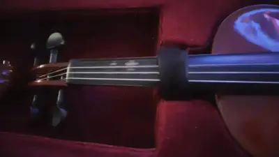 Violín con estuche y arco - miniatura 2