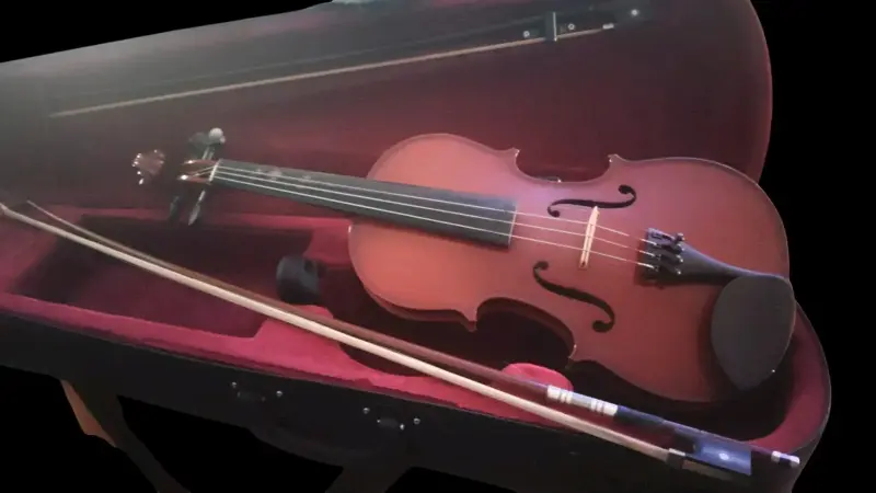 Violín con estuche y arco - 3