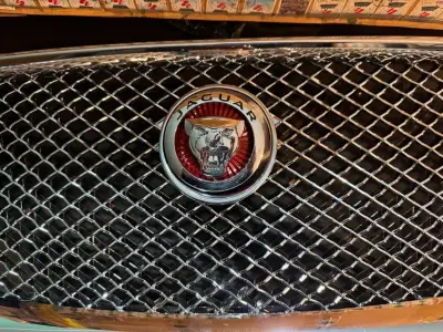 Rejilla frontal Jaguar clásica - miniatura 1