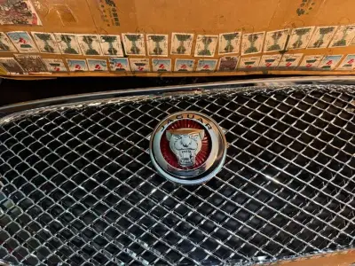 Rejilla frontal Jaguar clásica - miniatura 2
