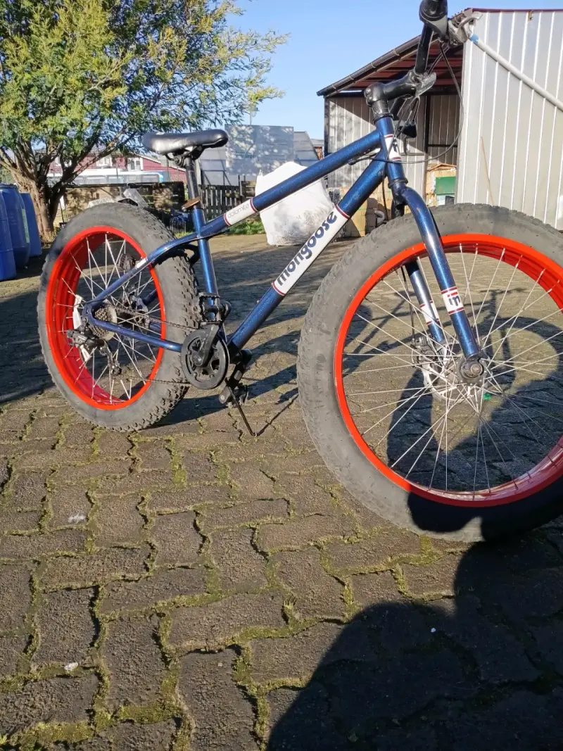 Bicicleta Mongoose Fat Bike dolomite - 5