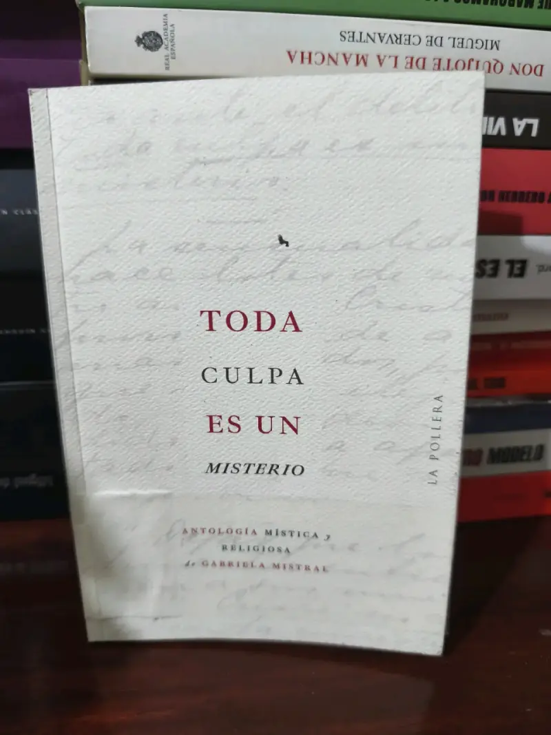 Libro 'Toda culpa es un misterio' - 1