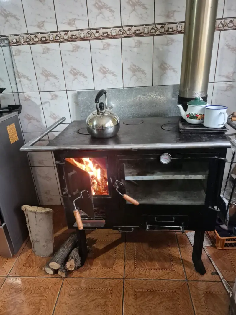 Cocina a leña con horno - 1