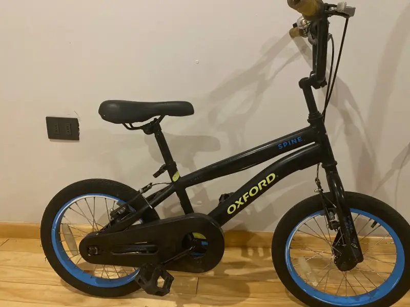 Bicicleta Oxford Spine Negra Aro 16 - 2
