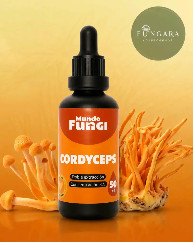 Melena de León, reishi y cordyceps 50ml extracto - 2